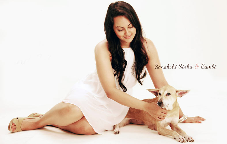 Sonakshi Sinha HD Wallpaper
