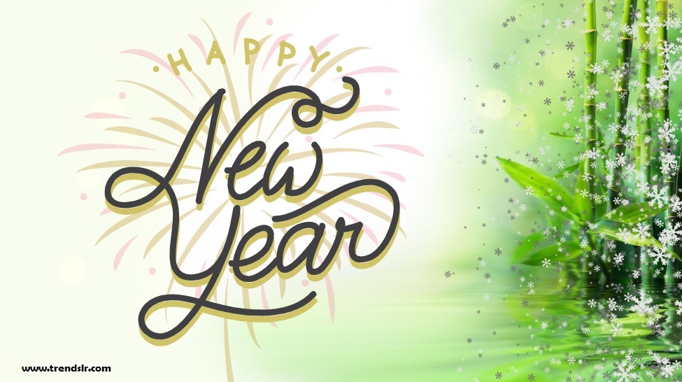Happy New Year 2020 HD Wallpaper