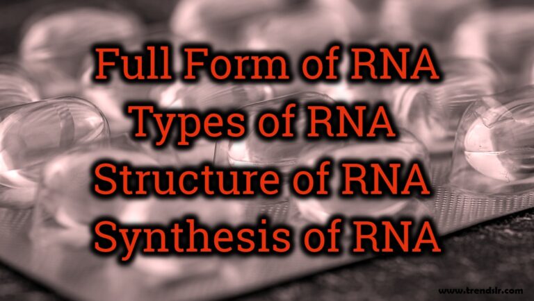 Full Form of RNA - Structure of RNA - Synthesis of RNA | Trendslr