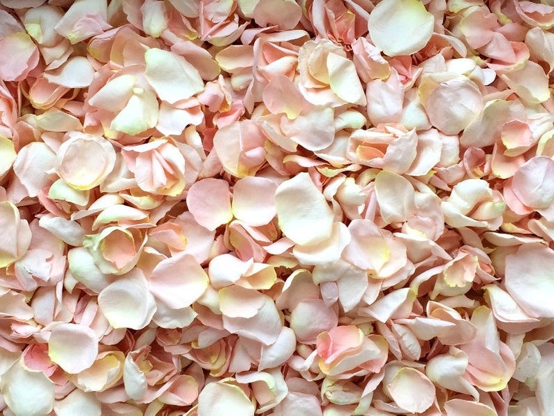 Dried Rose Petals