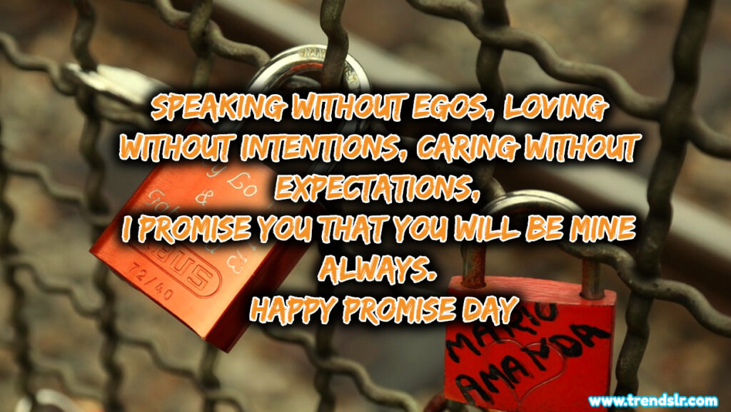 promise quotes for girlfriend in hindi