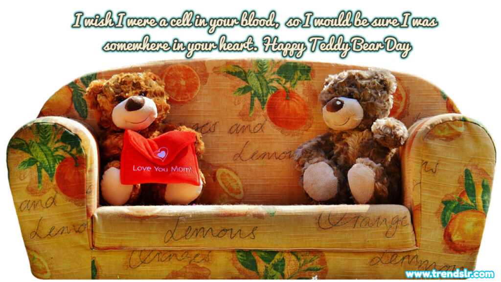 teddy bear day wishes for boyfriend
