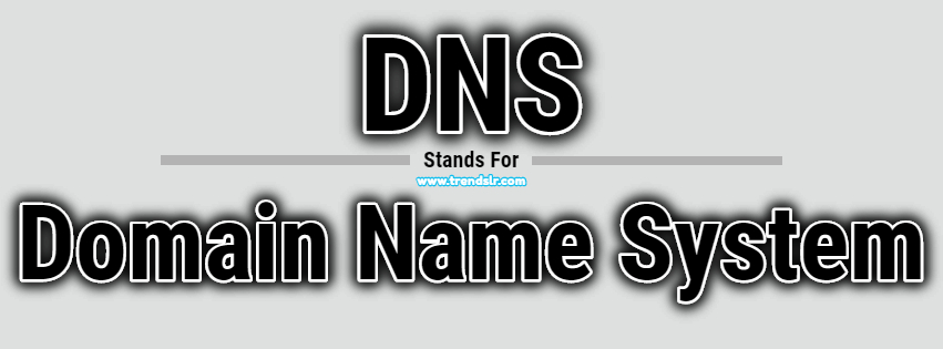 Full Form of DNS